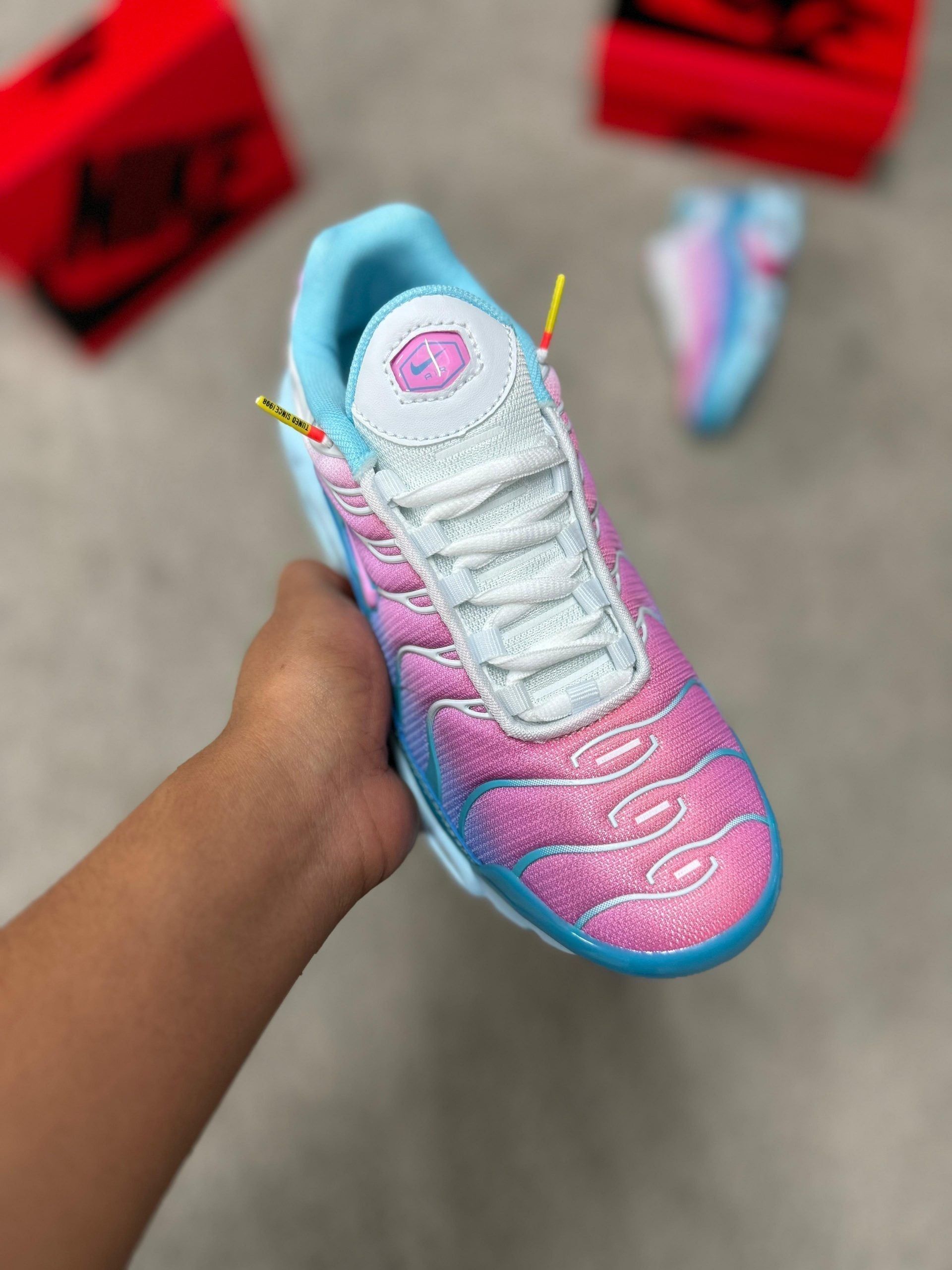 Nike TN Azul y Rosa