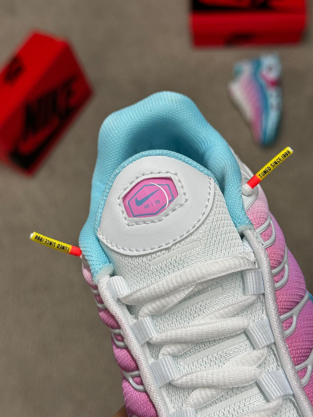 Nike TN Azul y Rosa